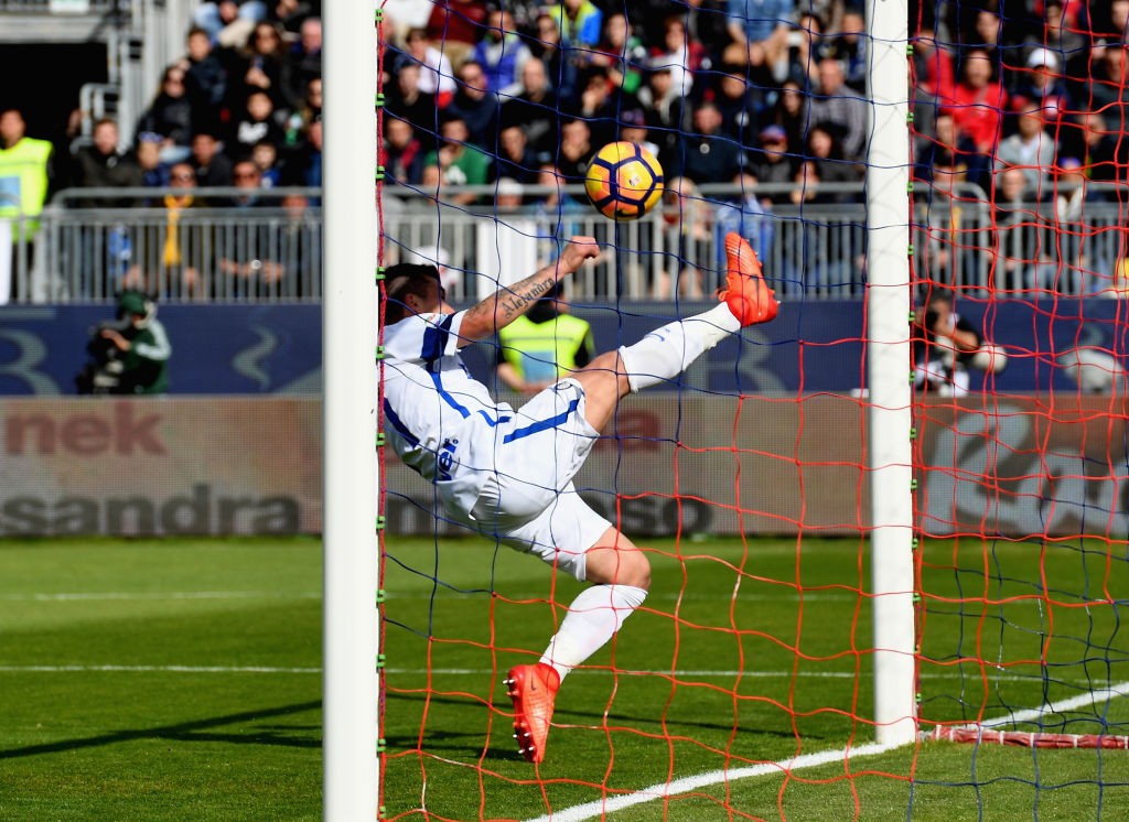 Medel: il pitbull si è trasformato in cigno