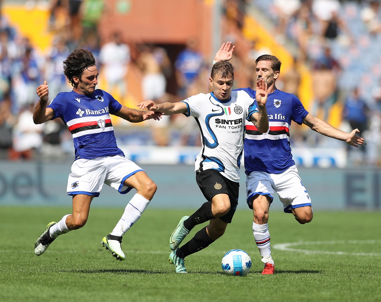 Barella