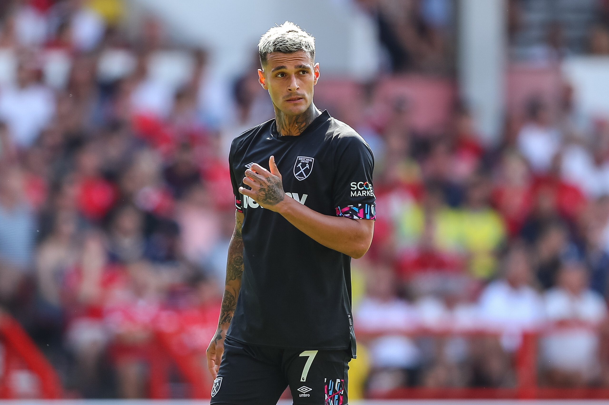 Mercato Scamacca è la nuova idea per l'attacco dell'Inter