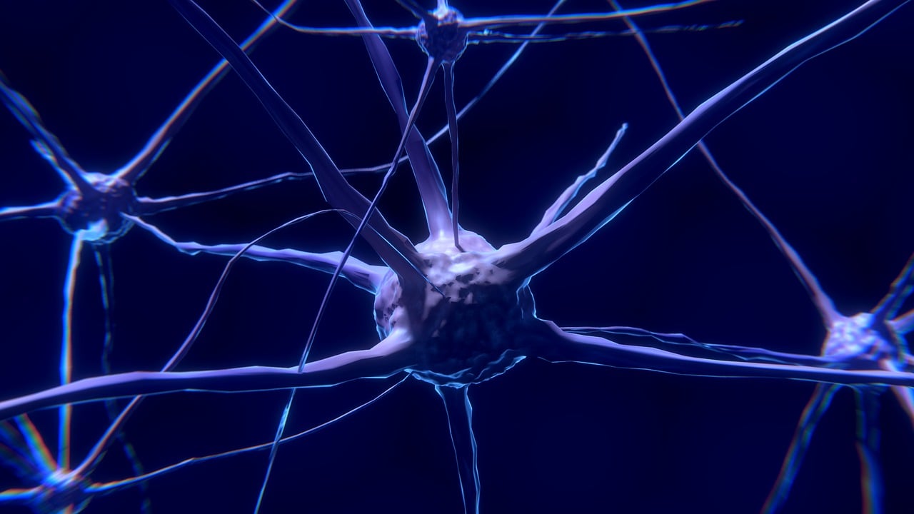 “Il cervello milionario”: il nuovo libro di Dario Silvestri che sblocca il tuo potenziale.