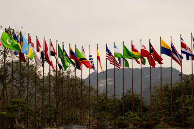 Psicologia del tifoso: perché un Mondiale ci coinvolge come nessun altro evento sportivo
